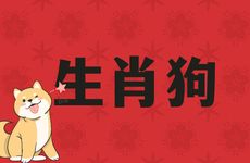 82年生肖狗用什么头像最旺财