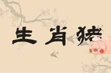 生肖猪是水命还是火命？