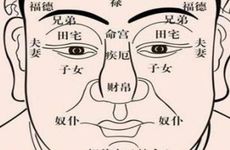 人中在面相中代表什么