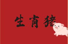 生肖猪人用什么头像最吉利