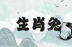 1999年生肖兔端午出生命运走向如何