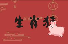 2007年生肖猪2025高考运气