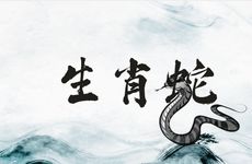 生肖蛇会在职场遇到哪些贵人