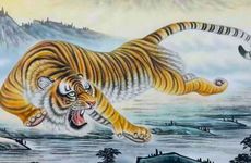 火虎遇到木龙年的相配指数