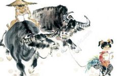 虎和牛做夫妻好不好