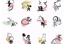 越老越穷晚年最贫困的生肖女