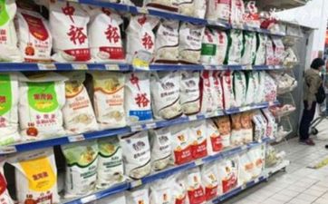 湖北宠物食品简洁好的公司名字