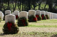 祖坟地放什么东西旺后人