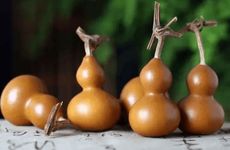 葫芦不能放在哪个方向