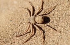 手机尾号4999值多少钱