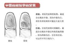 手指纹看相10个斗 10个簸箕代表什么