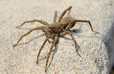 夫妻睡前聊天禁忌