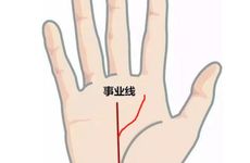 手相没有事业线就注定一事无成吗？