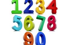 属猪人如何选择手机号码