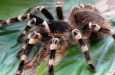 福报来以前的10征兆不能不知