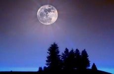 子时出生属兔男婚姻怎么样