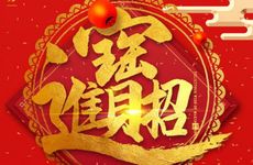 已巳大林木纳音详解