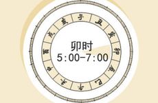 子丑寅卯时出生的属蛇人命运如何