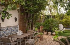 院子里种梧桐树有哪些寓意？