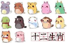 属羊人看不上什么生肖