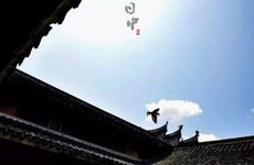 午时出生的女孩五行命理解析