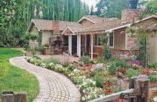 庭院风水种些什么树好