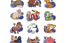 表面躺平实则偷偷闷声发财的生肖