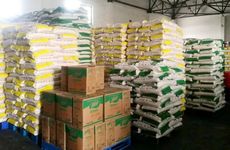 上坟祭拜祖先旺运食品及寓意