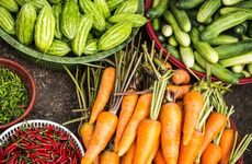 水果蔬菜店带有汇字的店名