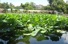 什么样的户型结构留不住财