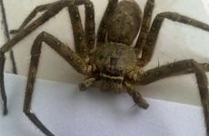 手机尾号选7770怎么样