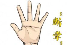 男生有断掌纹财富状况是怎样