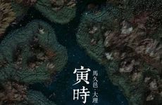 乙巳年丁卯月甲午日丙寅时命理