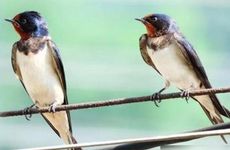 年轻人染头发有讲究吗