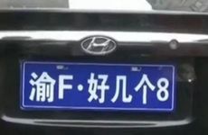车牌号最旺的3个数字和字母