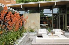 “院有3树十宅九富” 院子里镇宅又致富的3种树