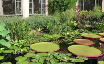 家里的风扇怎么摆不会散财