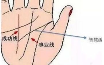 手相事业线的形态决定你的事业