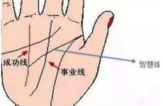 手相事业线的形态决定你的事业