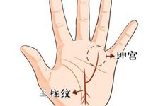 有福气的手相特征