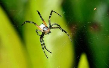 为啥死人的东西不能留