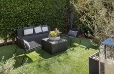 院子种梧桐树风水好吗