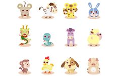 各方面都出色优秀到让人羡慕的生肖女