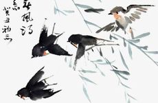 燕子在家里搭窝预示着什么