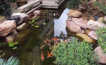 农村院子风水讲究 农村院子风水讲究