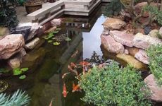 农村院子风水讲究