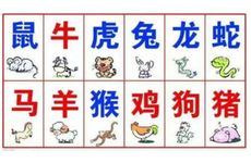 属龙男女和十二生肖的属相婚配表