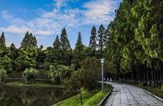 未时属狗男人命运怎么样