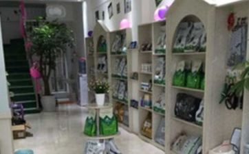 宠物生活馆经典的店名怎么取