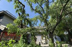 南方农村别墅门前种什么树风水好?